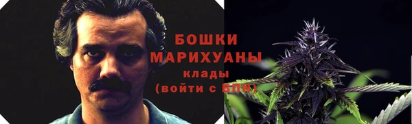МДПВ Медвежьегорск